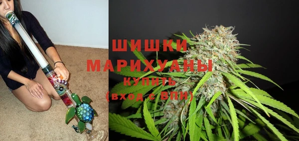 ГАЛЛЮЦИНОГЕННЫЕ ГРИБЫ Балабаново