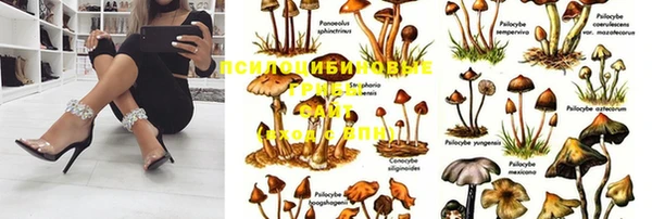 apvp Баксан
