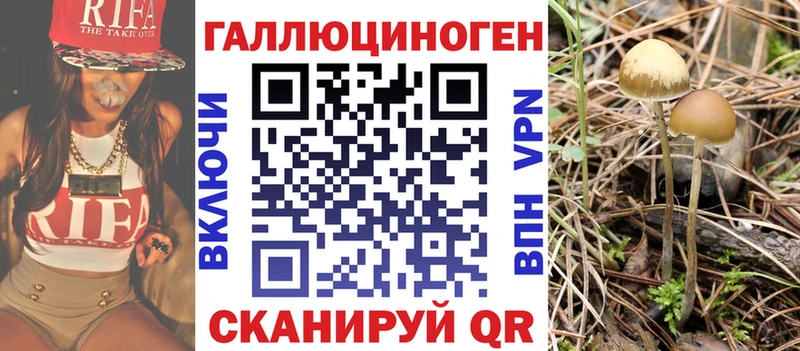 цены   Верхний Тагил  Псилоцибиновые грибы MAGIC MUSHROOMS 